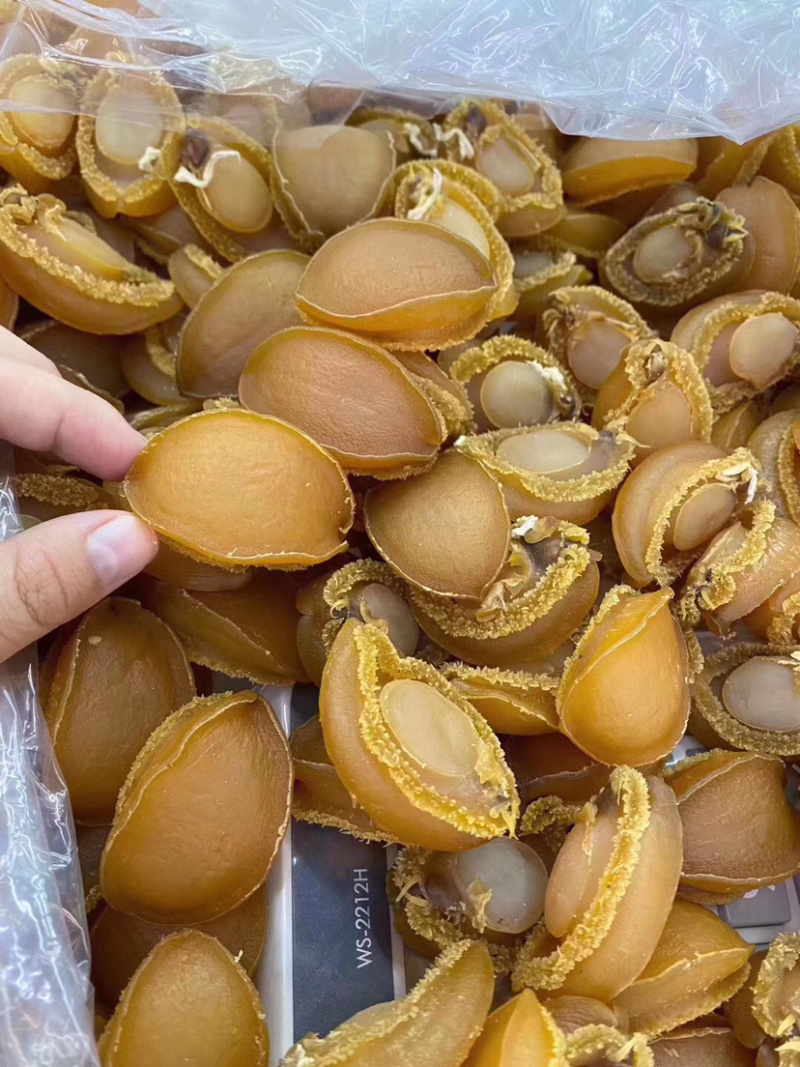 A货30头大连鲍鱼批发产地直销