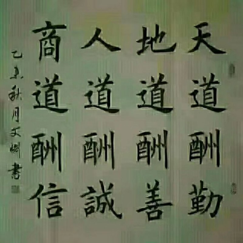 大三花鹅苗，山东鹅苗，泰州鹅苗，五龙豁眼鹅苗，回收成品鹅