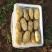 土豆山东土豆新土豆大量供应货源充足
