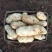 土豆山东土豆新土豆大量供应货源充足