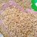 浮小麦，常年批发供应浮小麦药食同源中药材量大从优