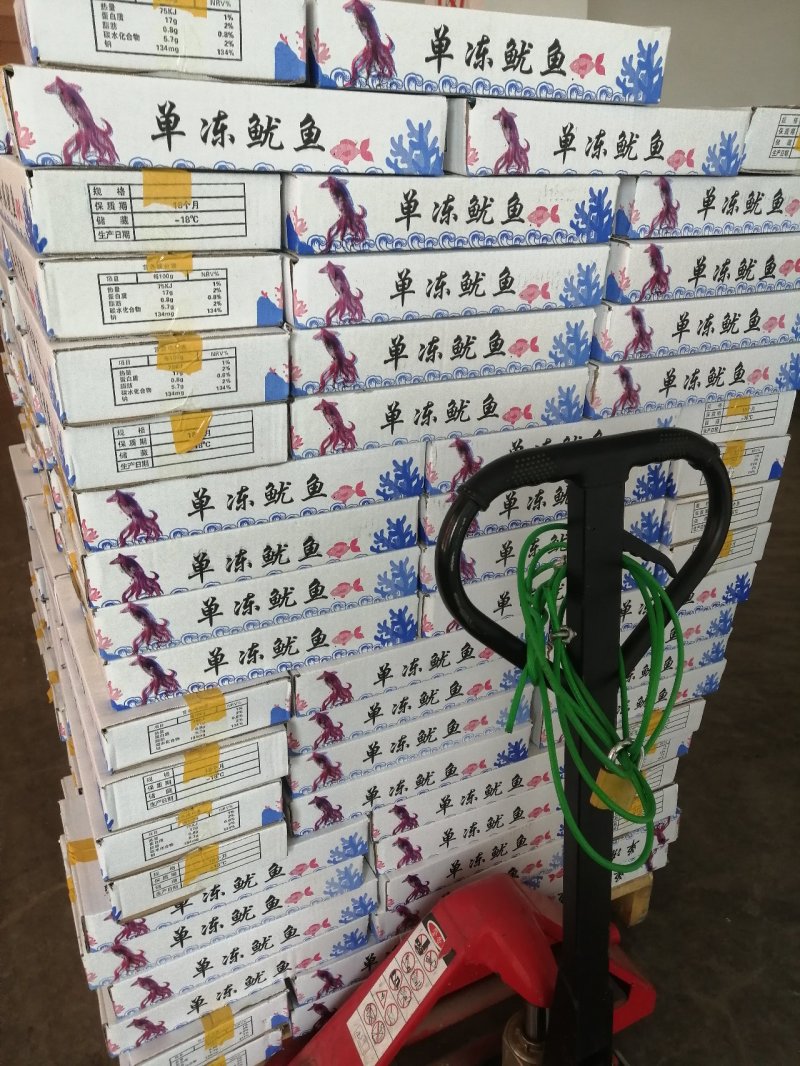 国产单冻鱿鱼单冻鱿鱼5条装200-300规格
