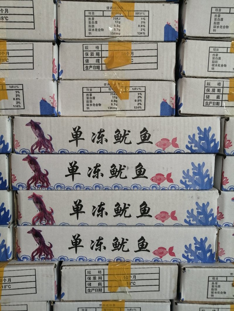 国产单冻鱿鱼单冻鱿鱼5条装200-300规格
