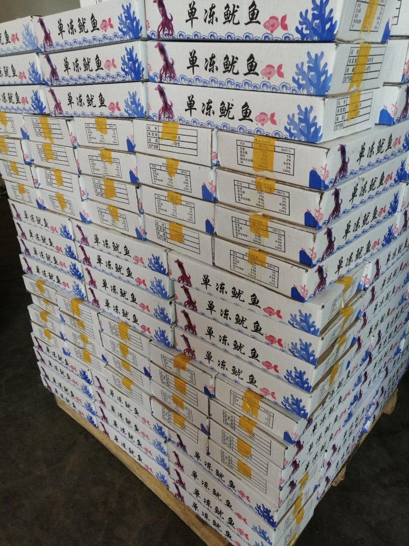 国产单冻鱿鱼单冻鱿鱼5条装200-300规格
