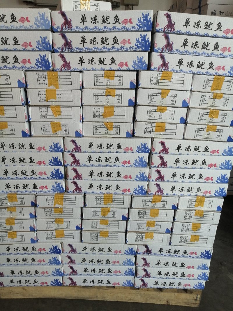 国产单冻鱿鱼单冻鱿鱼5条装200-300规格