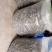 陕南特产黑木耳深山椴木木耳干货纯桦梨树耳子