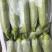 邯郸蔬菜