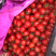 邯郸蔬菜