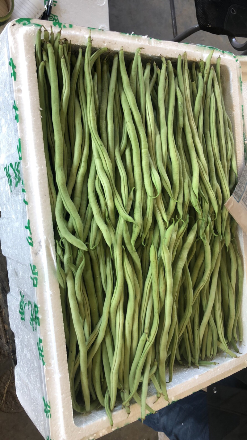 邯郸蔬菜