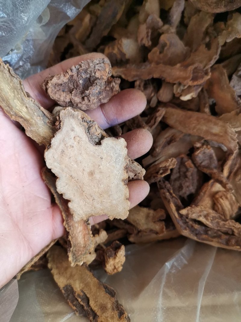 锁阳甘肃内蒙冬季锁阳片可视频看货