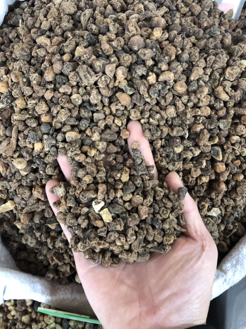 中药材今年新货山慈菇今年新货过筛的质量好