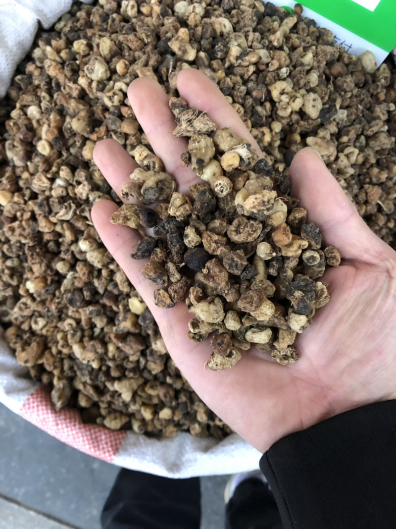 中药材今年新货山慈菇今年新货过筛的质量好