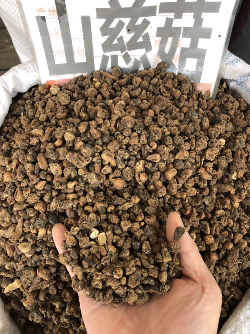 中药材今年新货山慈菇今年新货过筛的质量好