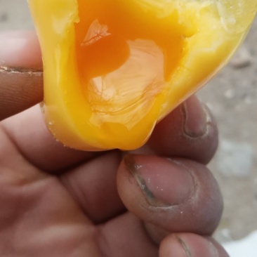 无铅松花蛋黄金变蛋双黄蛋