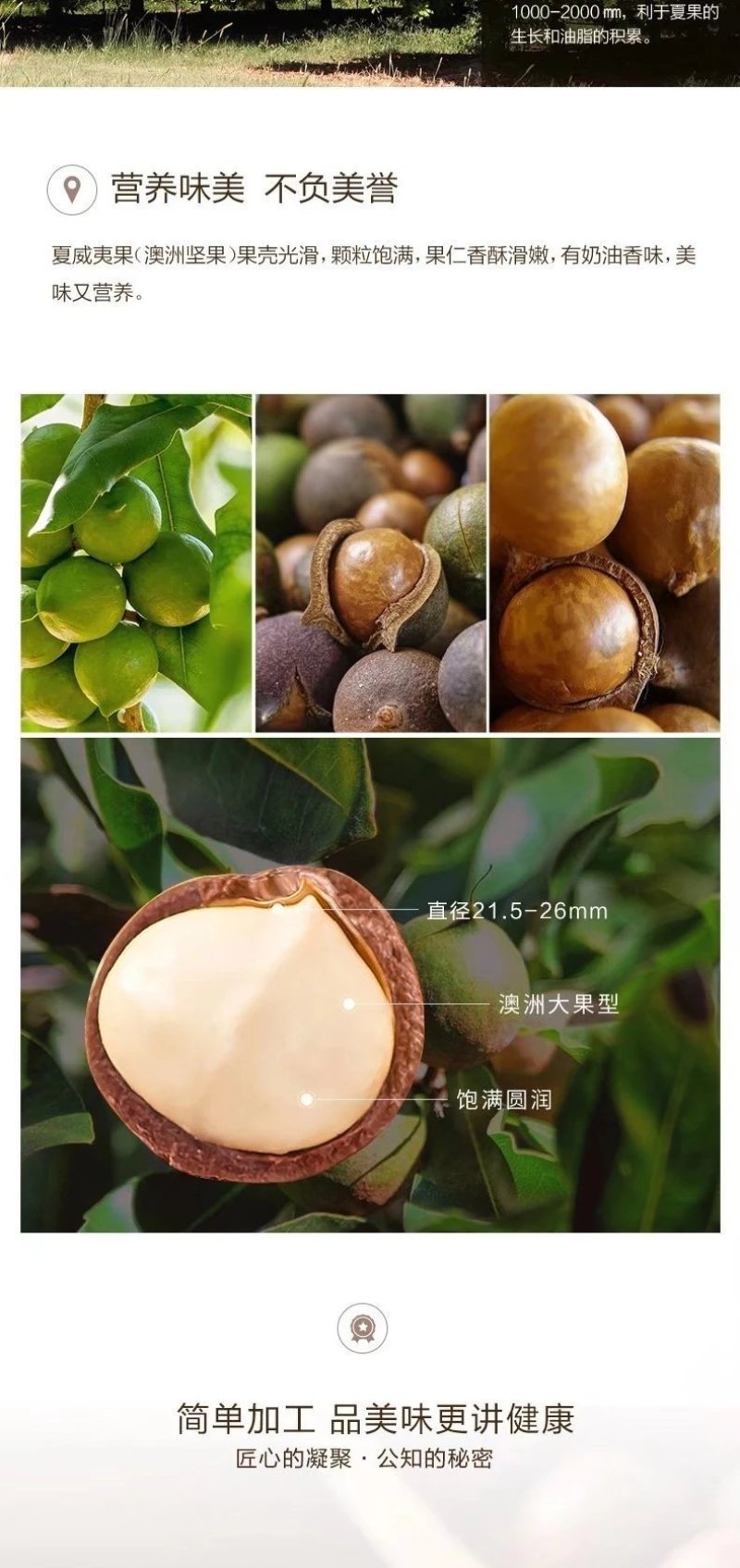 忆晶香牌开口笑夏威夷果澳洲坚果坚果干果年货