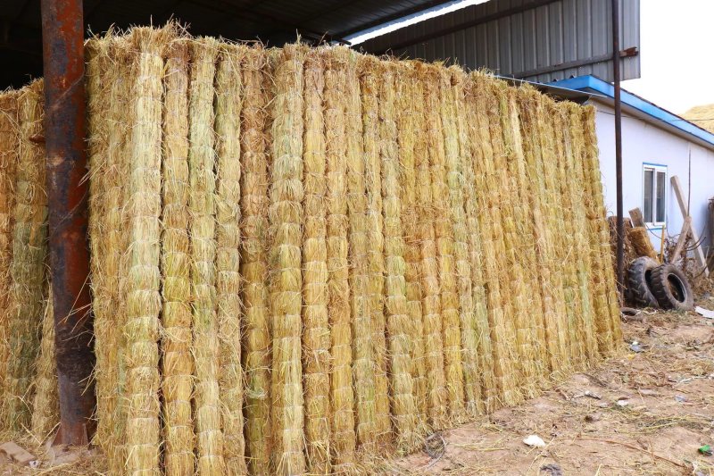 垫西瓜，水果草帘，量大从优，专业生产