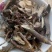 芫花根，道地药材，质优价实，品质保证，药典标准一公斤起批