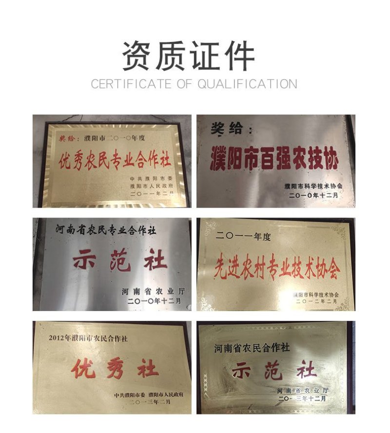 专业生产销售草苫子20年
