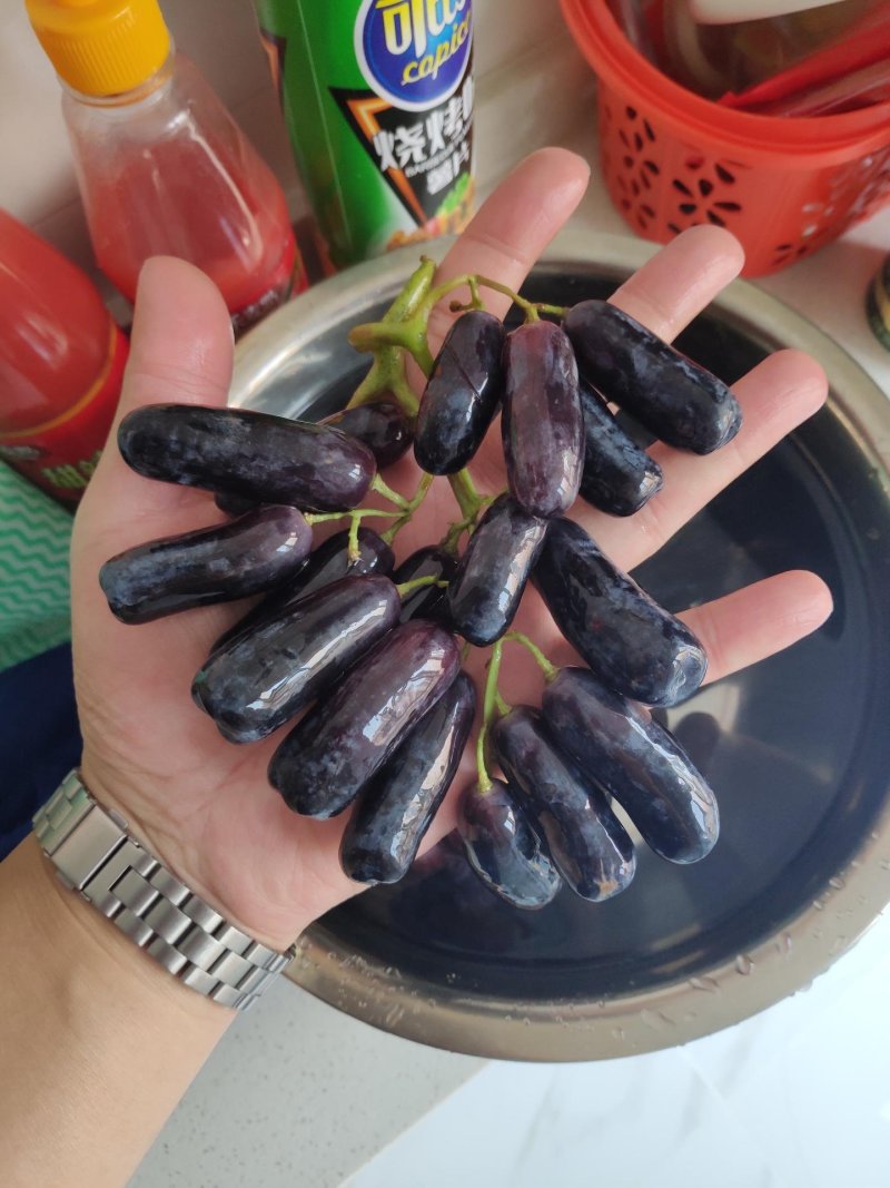 澳洲金手指顺丰包邮