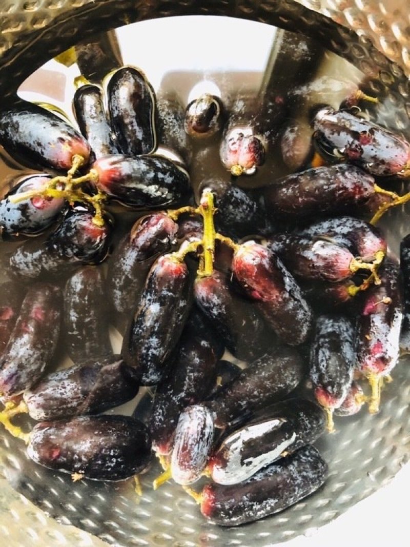 澳洲金手指顺丰包邮