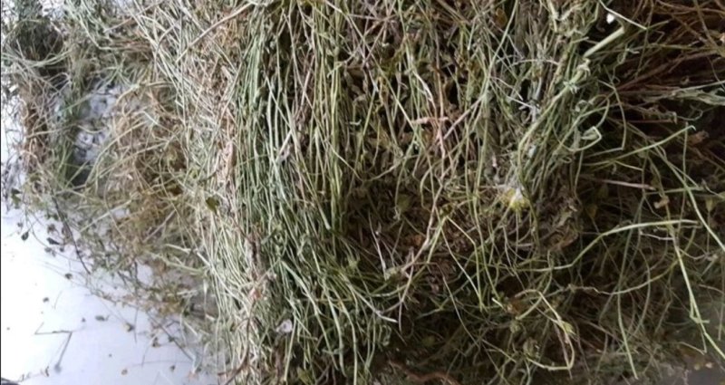 兰花参,道地药材，质优价实，品质保证，药典标准一公斤起批