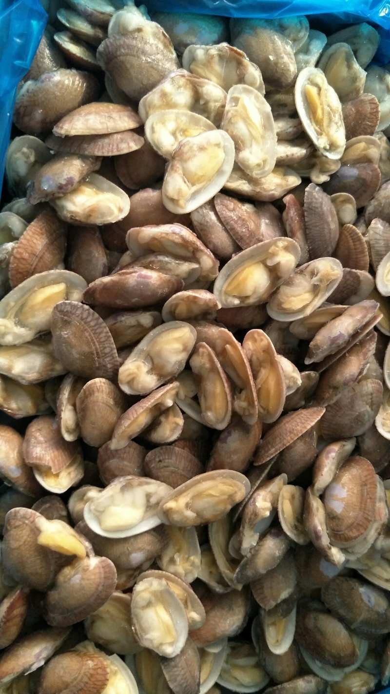 冻品