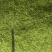 小毛豆