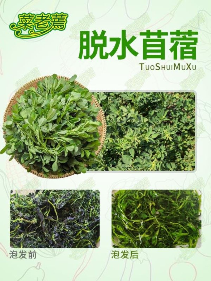 速冻脱水干苜蓿做馅做菜用包子菜团子做馅批发价