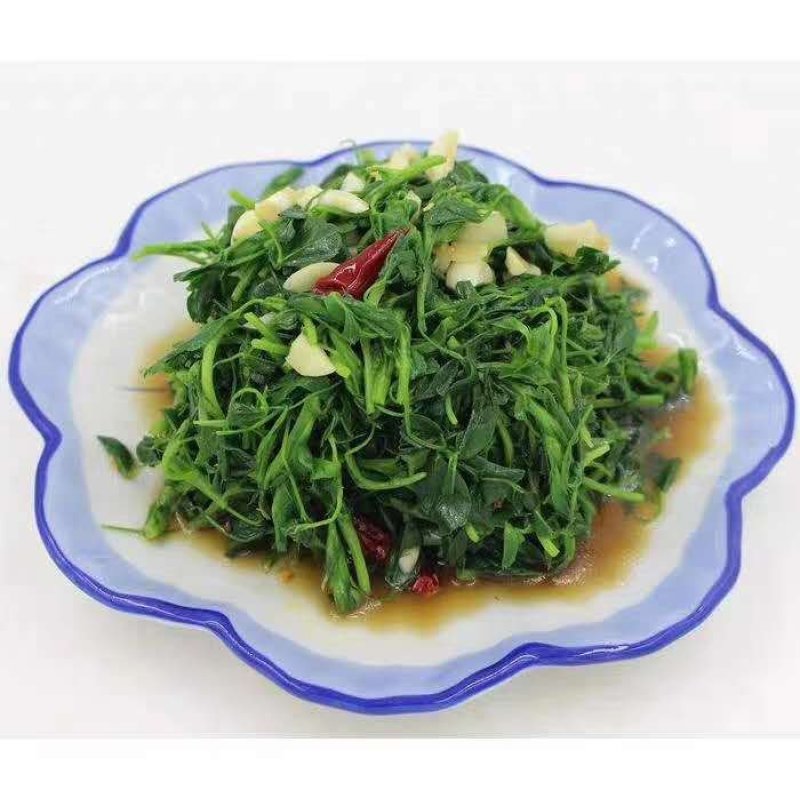 速冻脱水干苜蓿做馅做菜用包子菜团子做馅批发价