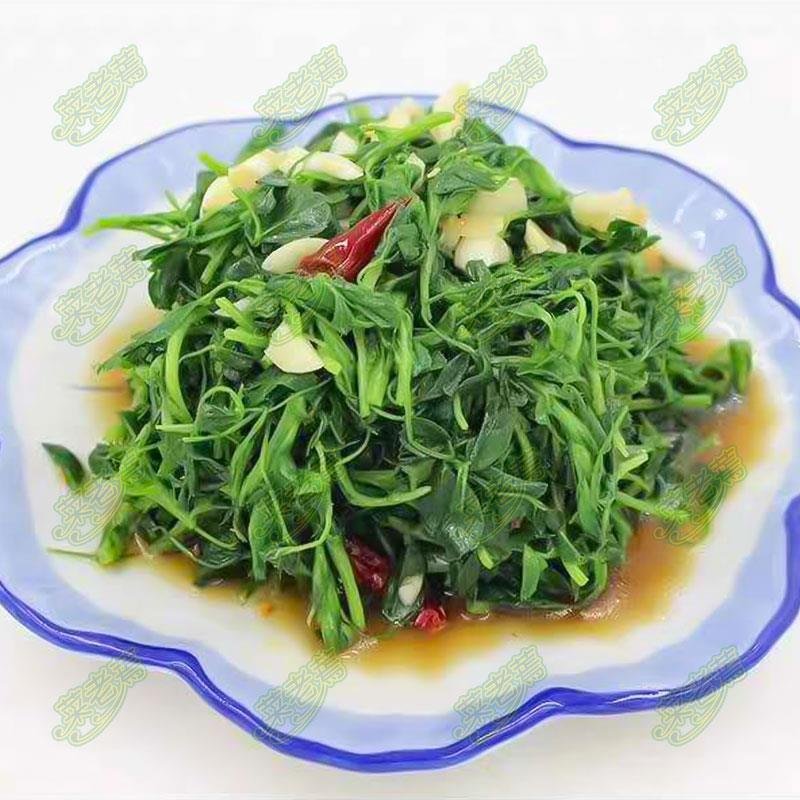 速冻脱水干苜蓿做馅做菜用包子菜团子做馅批发价