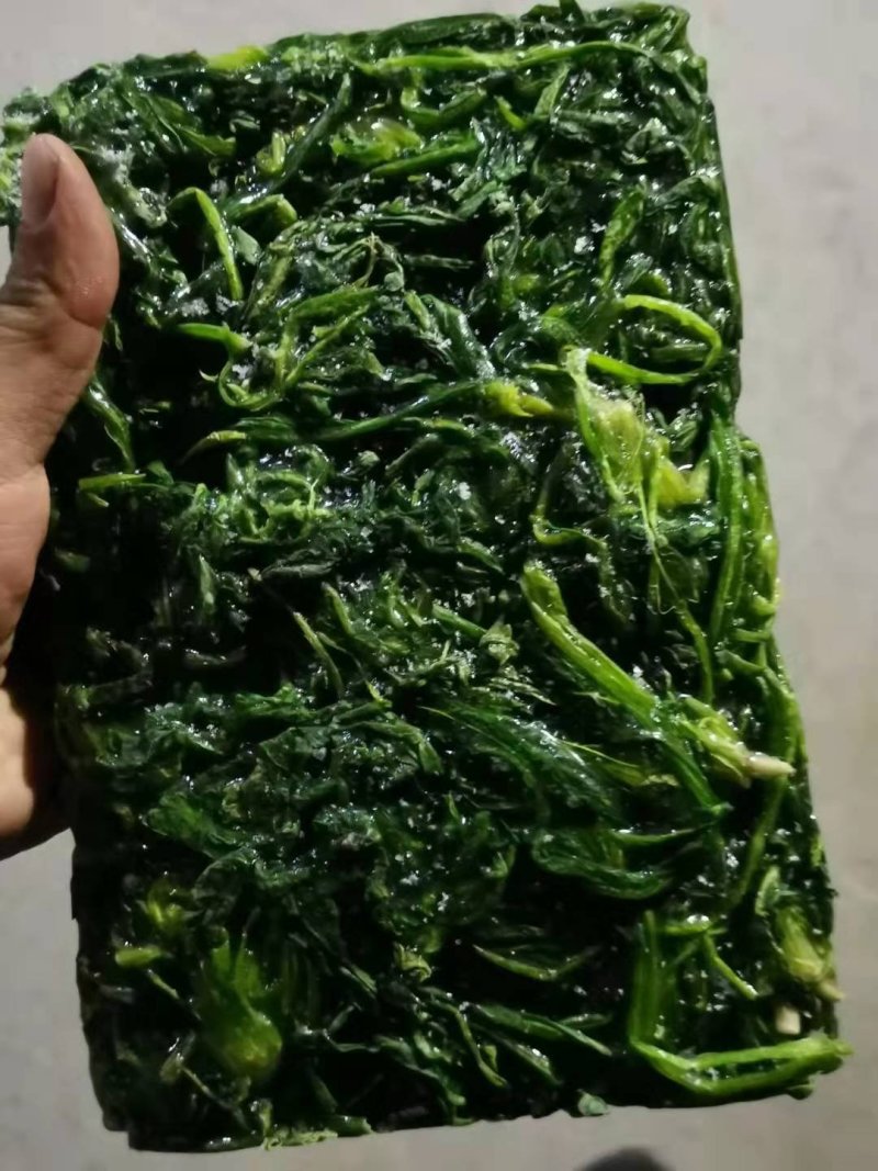 速冻荠菜冷冻新鲜野菜野菜荠菜馅馄饨饺子馅荠荠菜食材