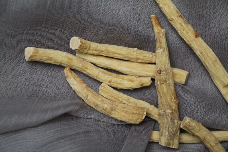 加拿大西洋参参节中号参结参味浓郁性价比高批发