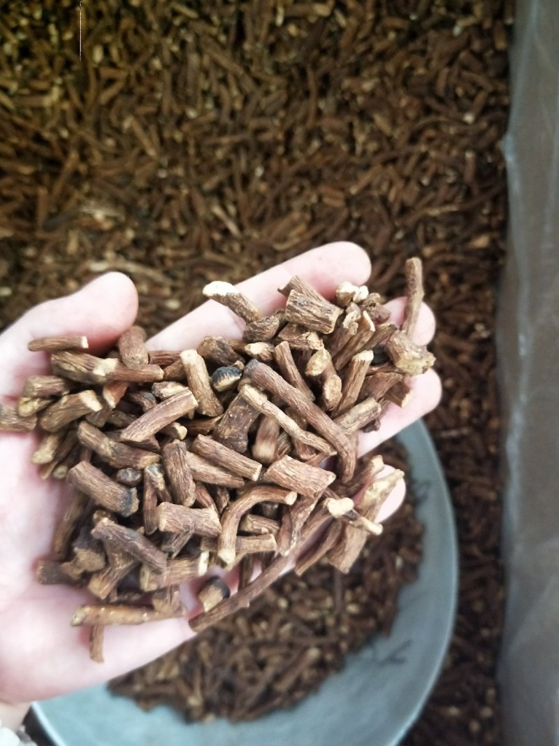 蒲公英根东北野生特级选装精品5年大根保证质量无硫