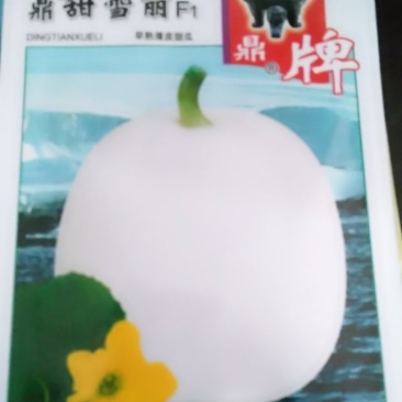 甜爪种子