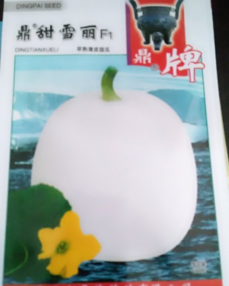 甜爪种子