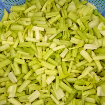 芹菜段，芹菜丁，去叶芹菜，净菜，全部厂家自产，质优价廉