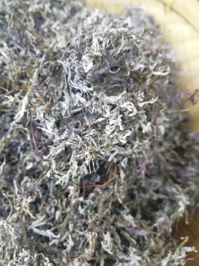 广西三江明前野生藤茶霉茶谷雨茶150克包邮