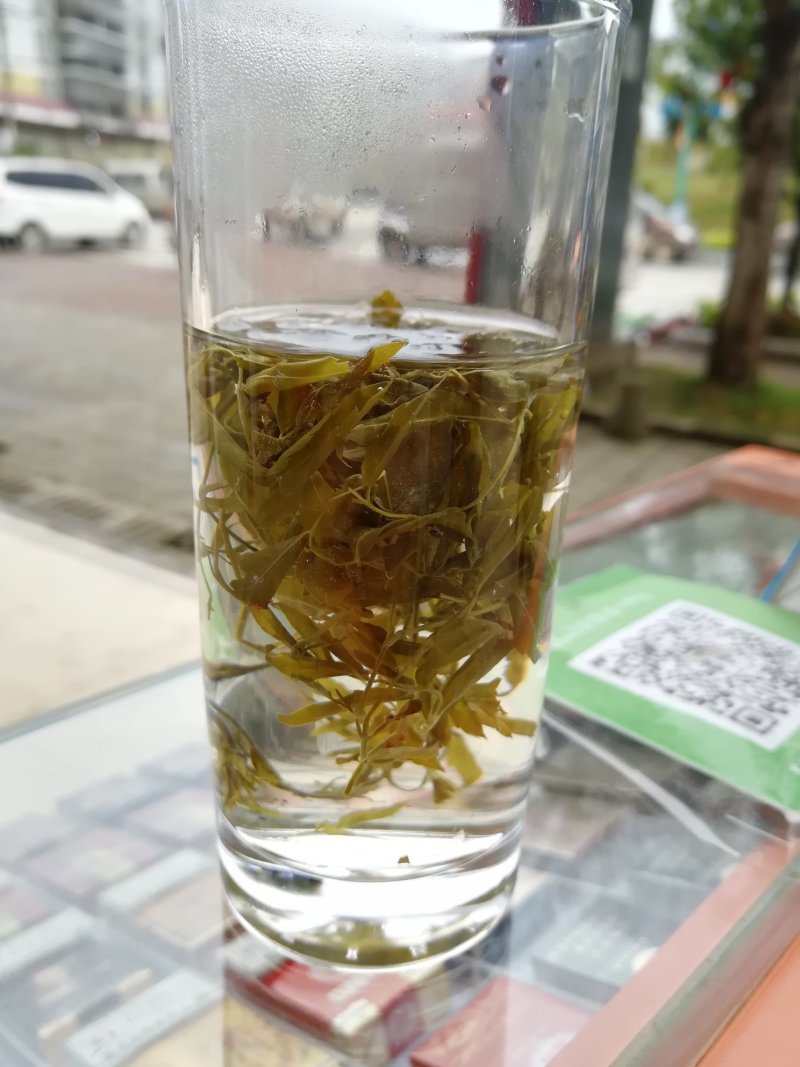广西三江明前野生藤茶霉茶谷雨茶150克包邮