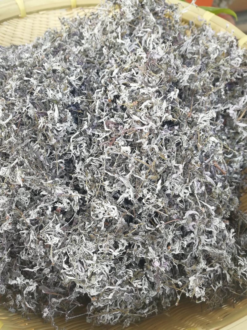 广西三江明前野生藤茶霉茶谷雨茶150克包邮