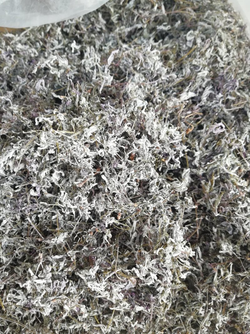 广西三江明前野生藤茶霉茶谷雨茶150克包邮