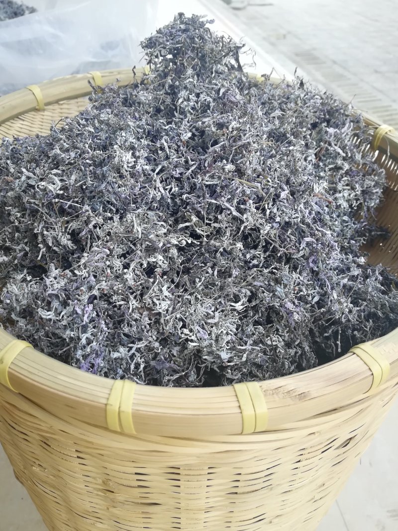 广西三江明前野生藤茶霉茶谷雨茶150克包邮