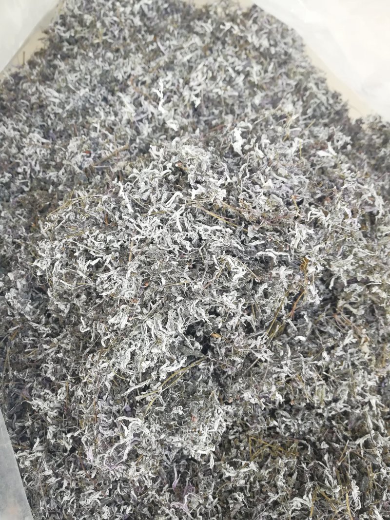 广西三江明前野生藤茶霉茶谷雨茶150克包邮