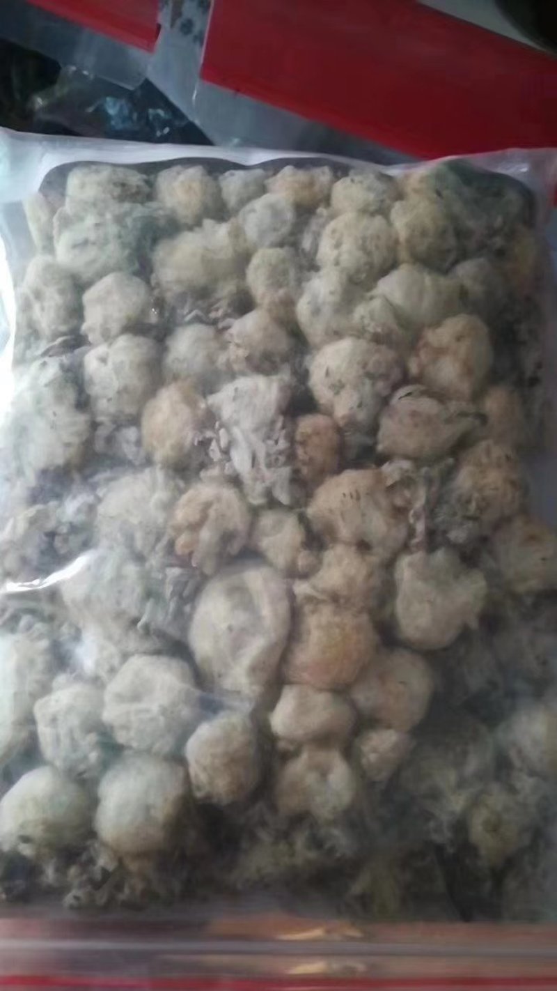 西藏白雪莲大量供应一手货源质量上乘价格美丽欢迎下单