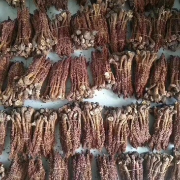 草苁蓉西藏产地直供质量保证一手货源量大优惠