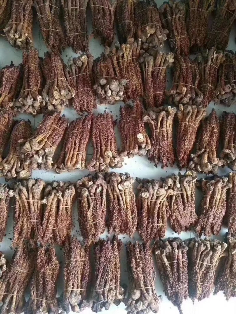 草苁蓉西藏产地直供质量保证一手货源量大优惠