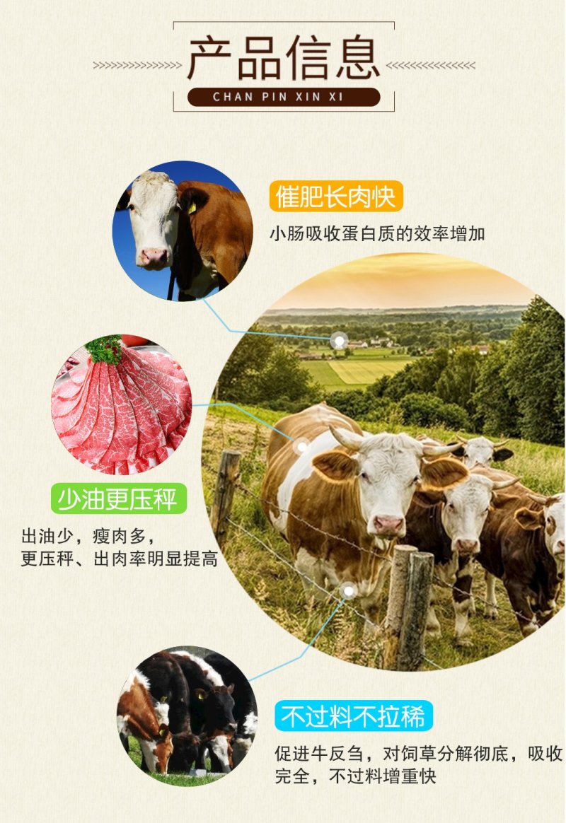 成都英美尔育肥牛专用复合预混合饲料配方后期催肥增重促生长