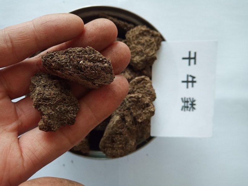 广西干牛粪厂家柳州发酵牛粪桂林牛粪市场
