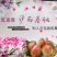 春桃