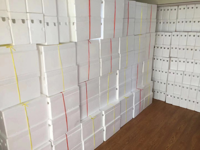 【实重量】精品大蟹鲜活现货特大公母蟹家庭聚会装