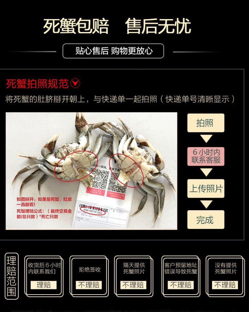 【实重量】精品大蟹鲜活现货特大公母蟹家庭聚会装